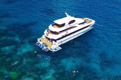 Cairns & the Tropical North - Great Barrier Reef Snorkeling and Diving Cruise from Cairns