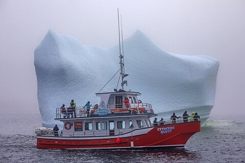 Newfoundland & Labrador - 2 Hour Boat Tour in Twillingate