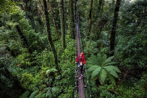 Cospicua (Bormla) - Rotorua Canopy Tours: 2.5Hour Native Forest Zipline Adventure