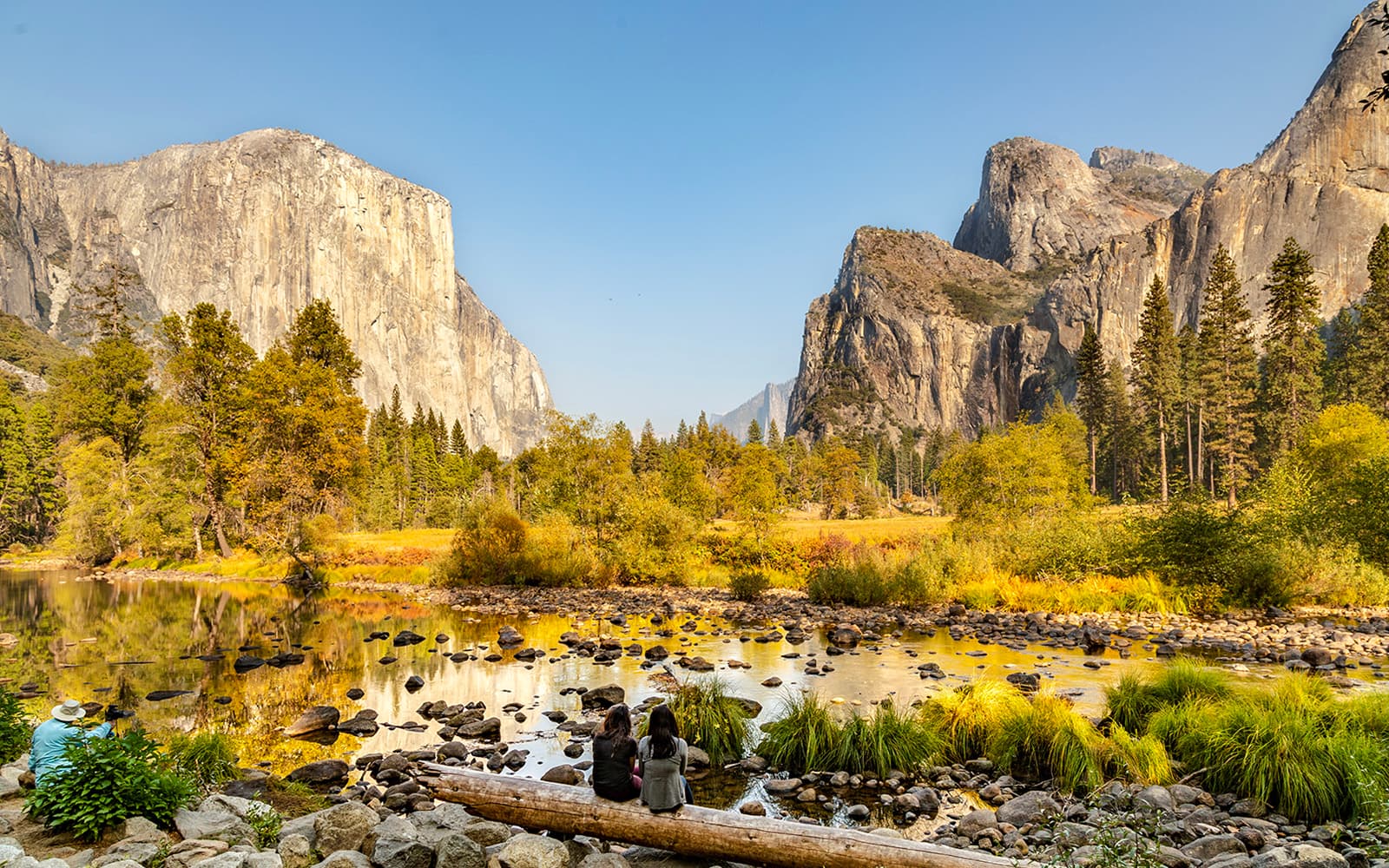 From Yosemite: San Francisco One-Way Tour with Giant Sequoias Hike