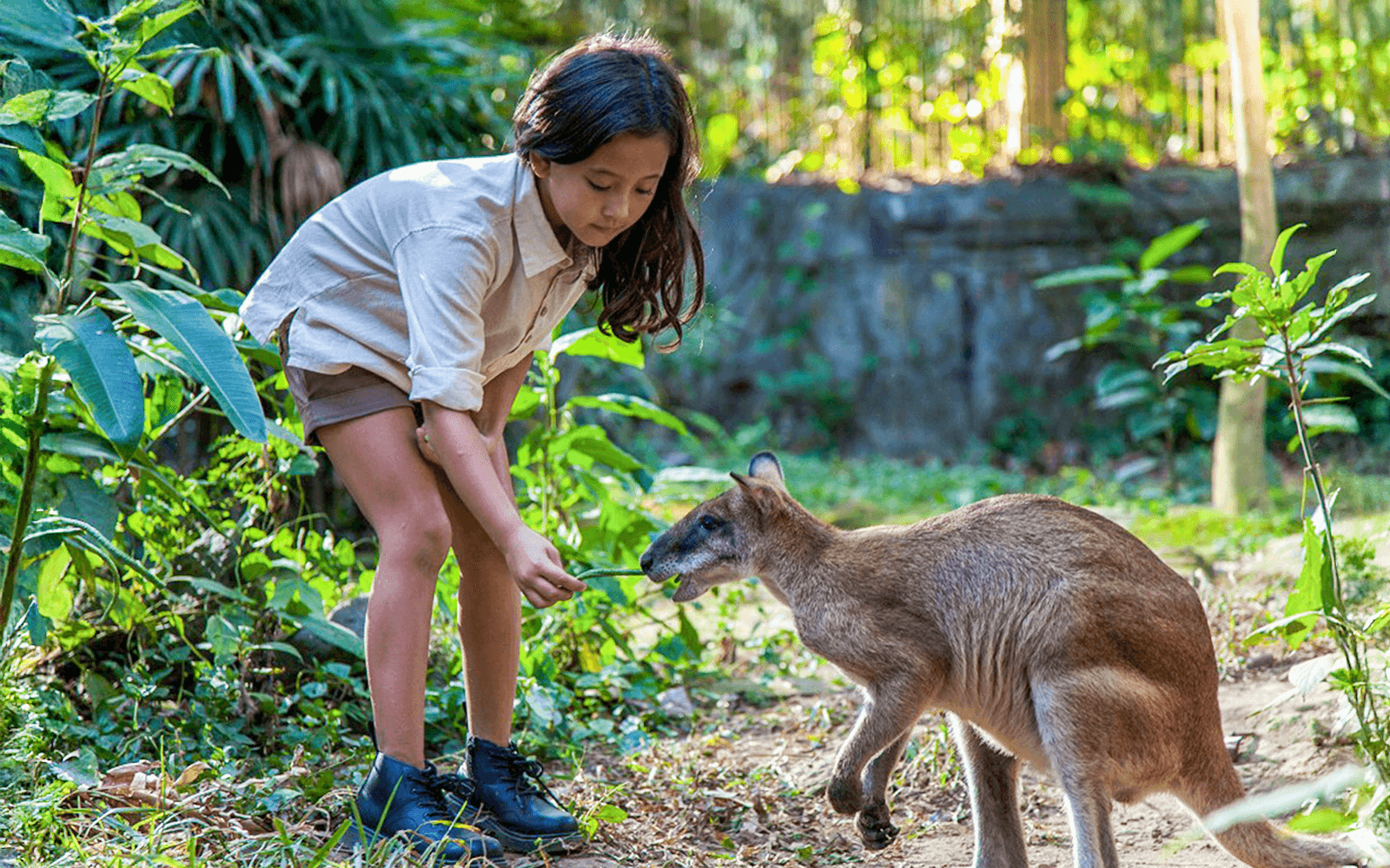 Bali Zoo Entry Tickets