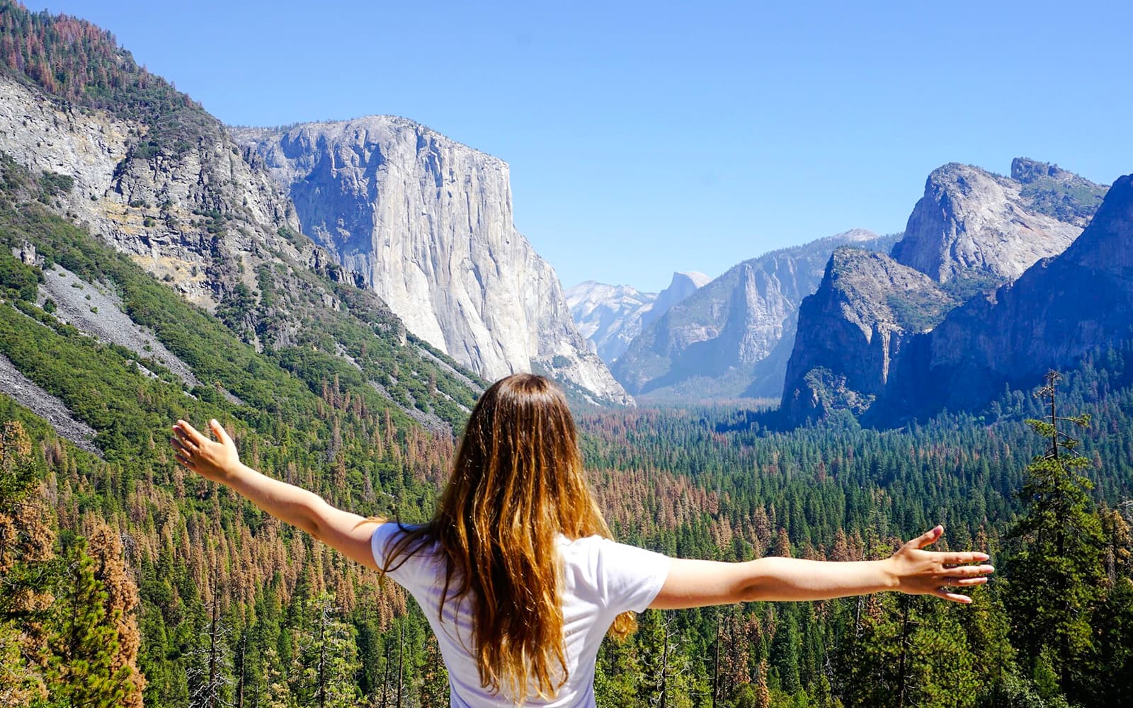 From San Francisco: Yosemite One-Way Tour