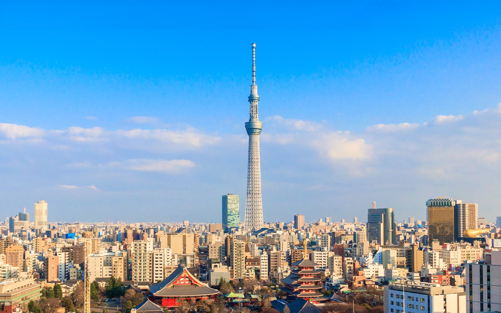 TOKYO SKYTREE Tembo Deck & Tembo Galleria Tickets