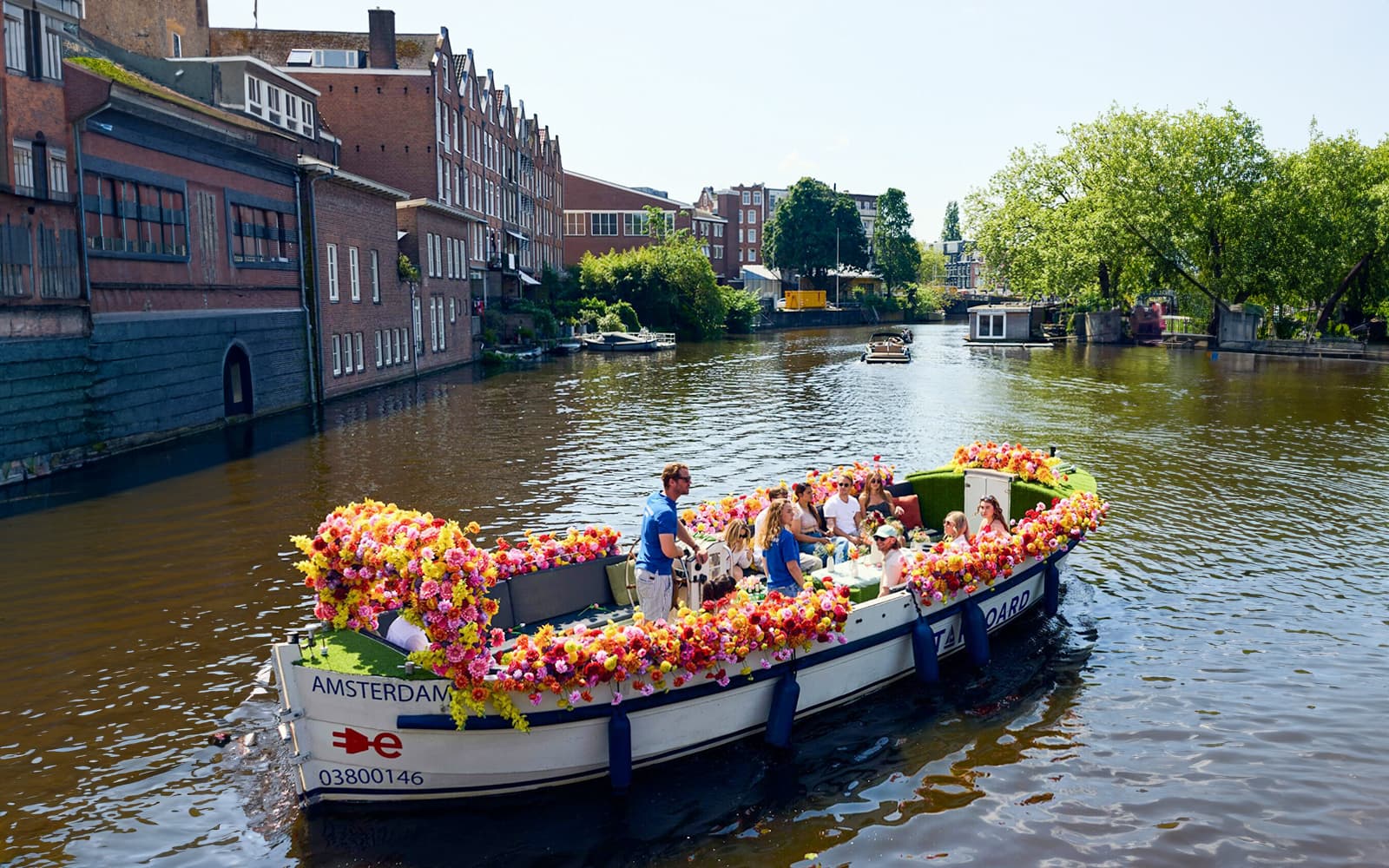 Amsterdam: 1-Hour Exclusive Tulip Experience on a Luxury Open Boat