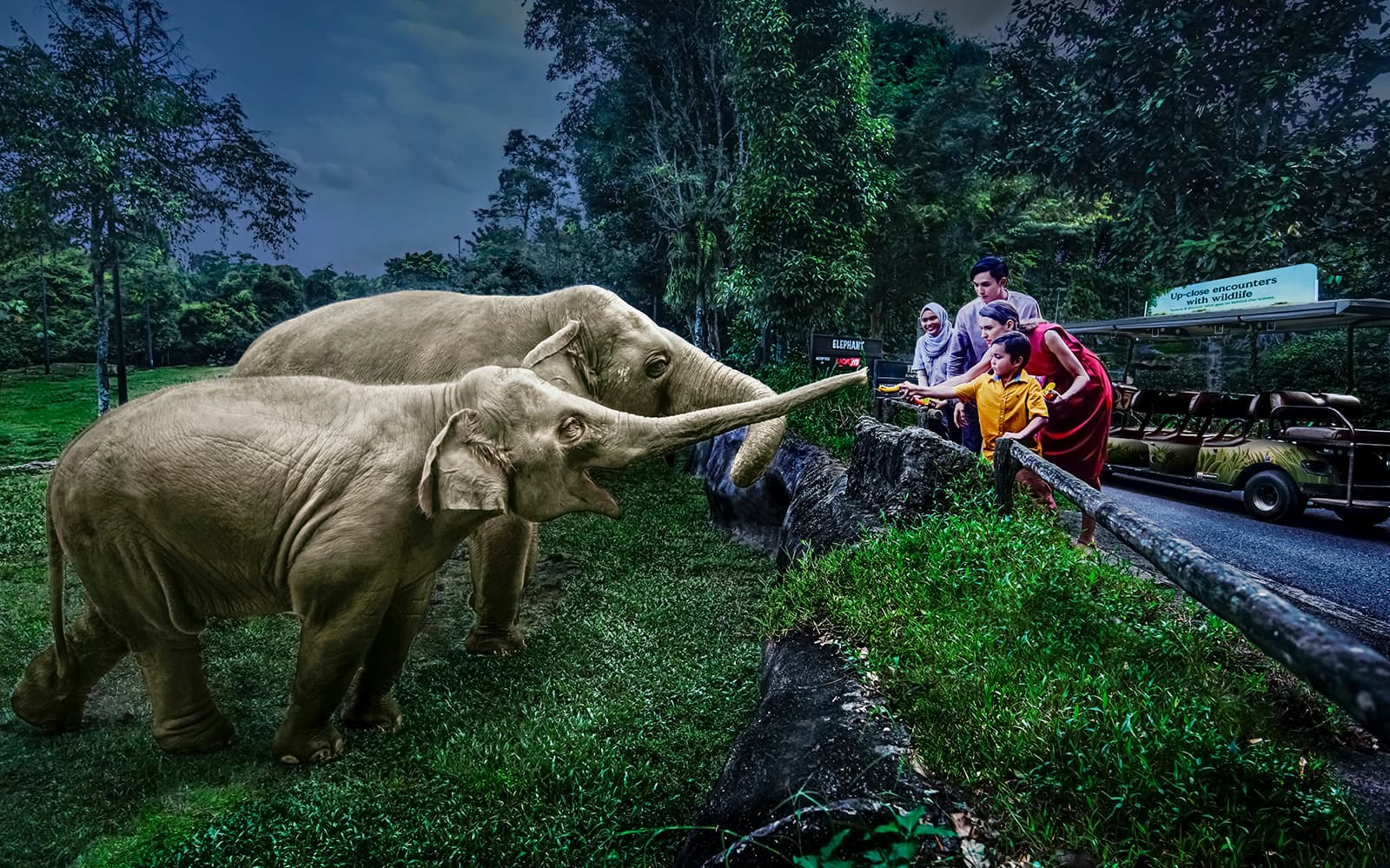 Night Safari Tickets | Mandai Wildlife Reserve