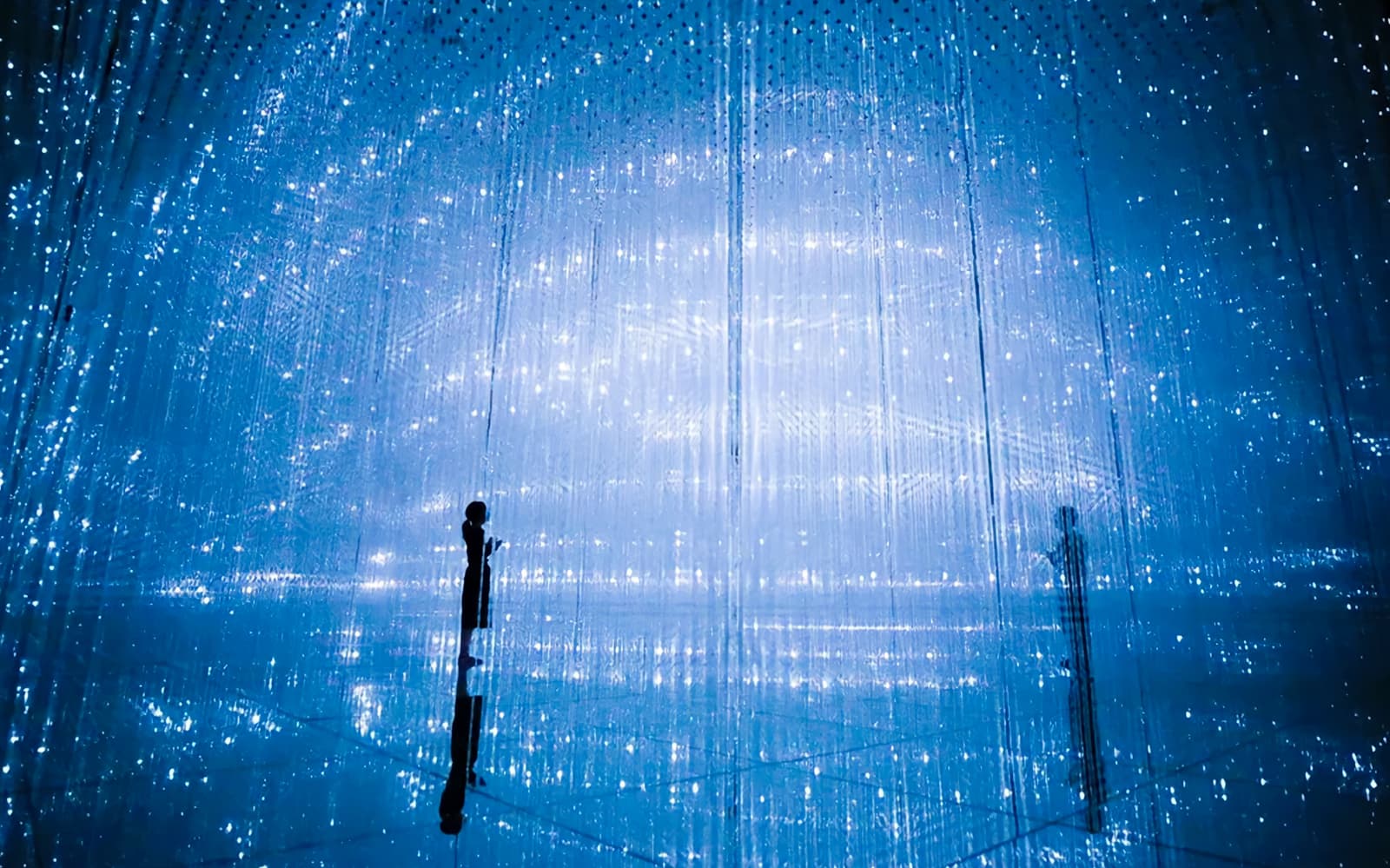 teamLab Planets TOKYO Tickets