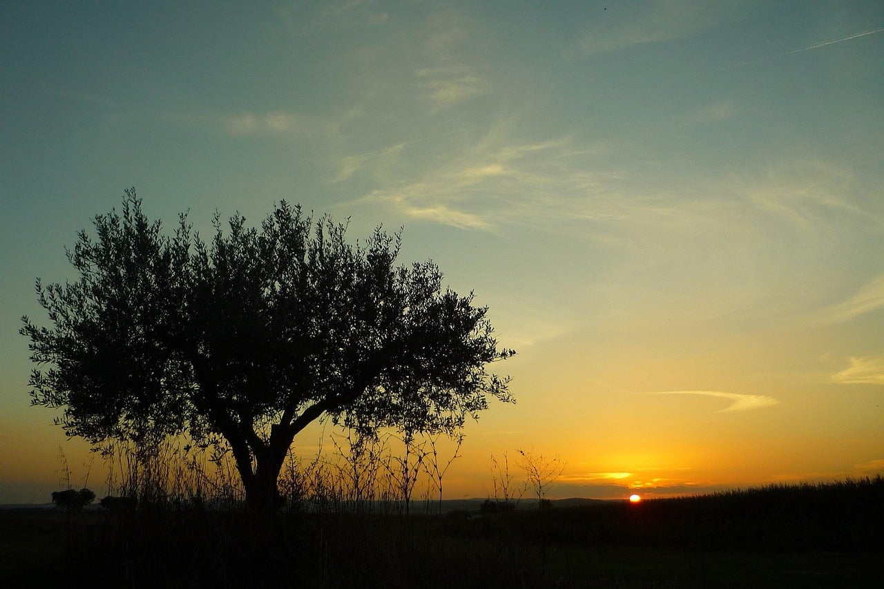 Alentejo, Portugal