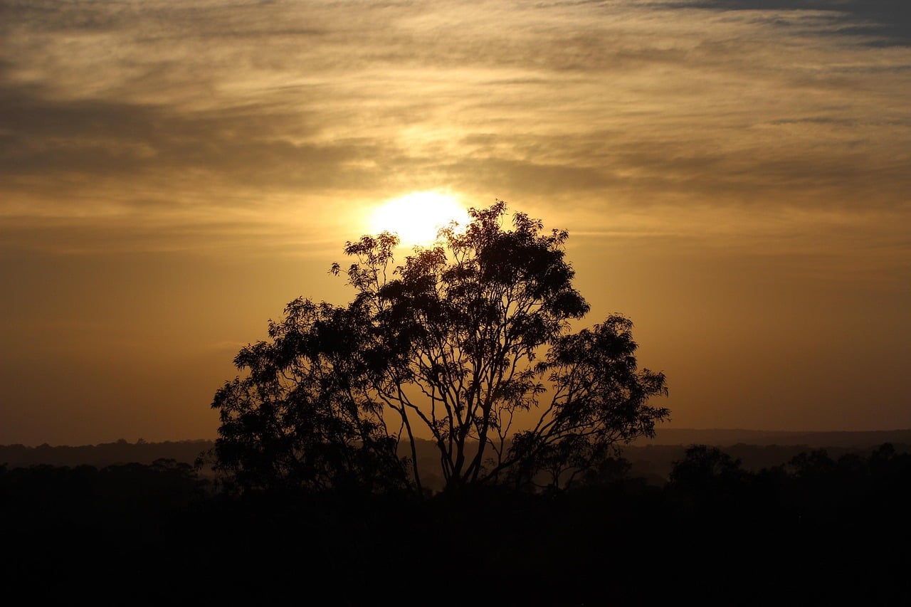 Hunter Valley, Australia