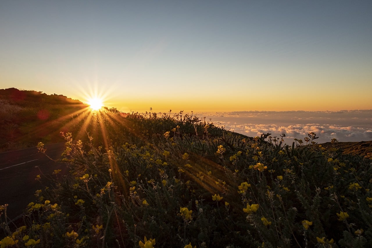 La Palma, Spain