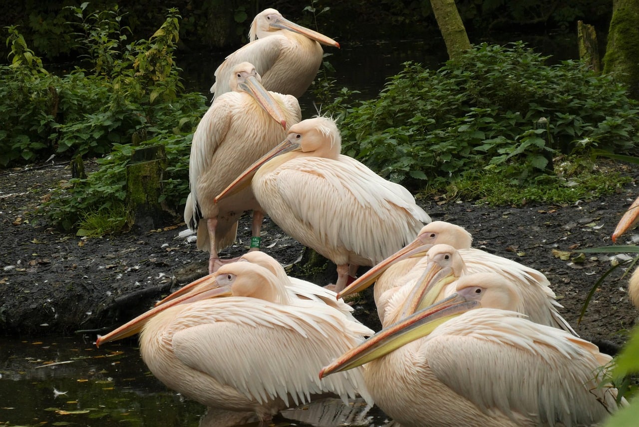 Leeuwarden, Netherlands
