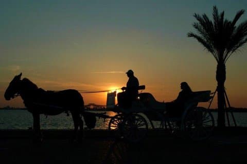 Aswan City Private Tour med hestevogn