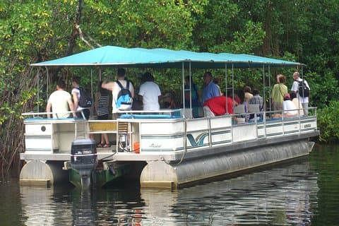 Private YS Falls e Black River Safari de Negril