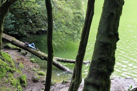 Ganztägige Wild Lakes 4x4 Tour mit Mittagessen PRIVAT