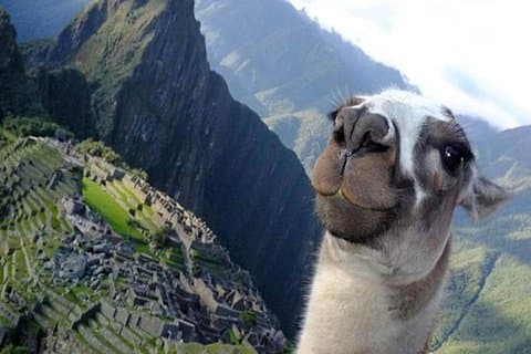 8-daagse privétour Lima en Cusco - All inclusive