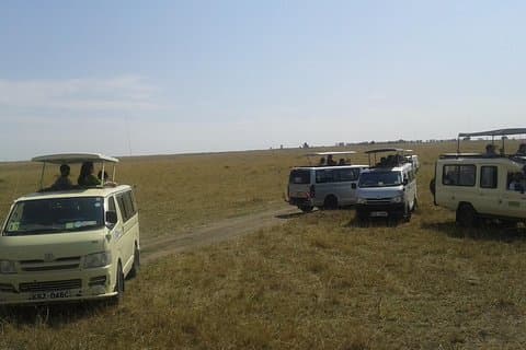 14-dagers Maasai Mara, Serengeti og Zanzibar tur fra Nairobi