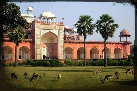 Agra Kort tur til Akbar Tomb, Gurudwara Guru Ka Tal og Dayalbagh