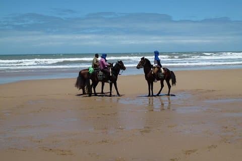 3 timmars ridning i Essaouira, strand, skog och sanddyner