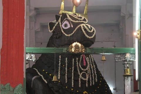 Tour a pie del Toro Sagrado en Bangalore con guía