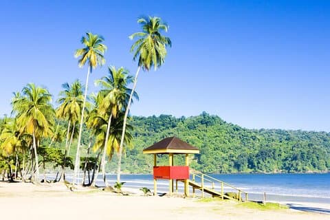Trinidad Highlights og Scenic Drive Tour