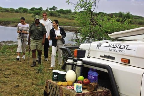 Madnwe River Lodge-Madikwe Game Reserve fra Johannesburg Pretoria