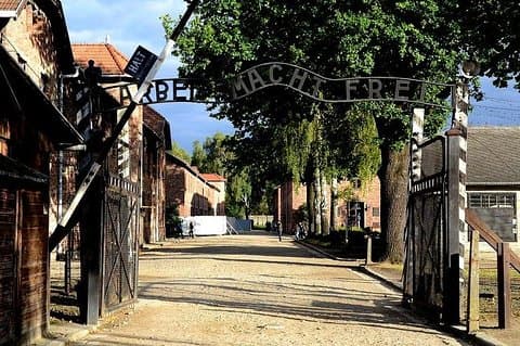 Auschwitz-Birkenau guidet tur fra Krakow med privat transport