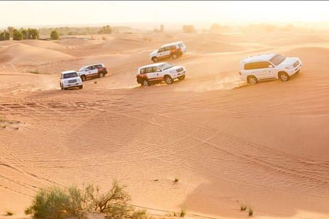 Dubai Desert Safari med Burj Khalifa - Kun billett uten overføring til Burj Khalifa -