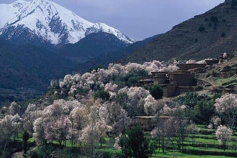 Privé dagtocht naar het Hoge Atlasgebergte vanuit Marrakech