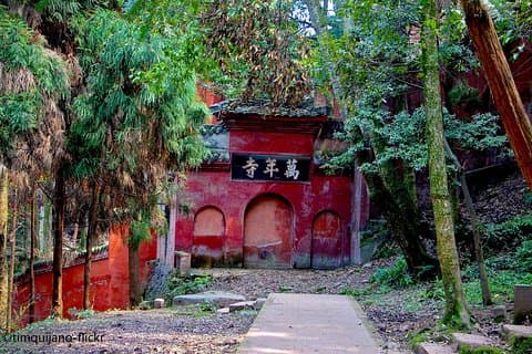 2-daagse Panda-basis plus Leshan Giant Buddha en Emei Mountain Tour
