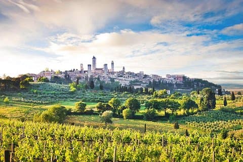 Private tour from Livorno port to San Gimignano & Volterra