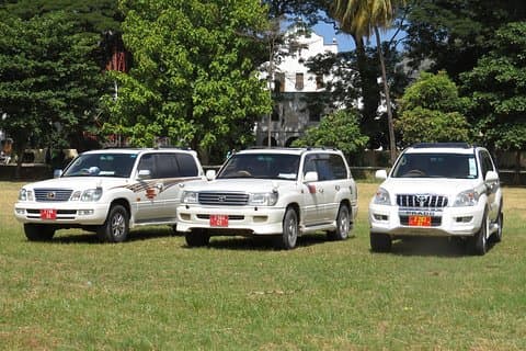 Private VIP Departure Transfer in Zanzibar