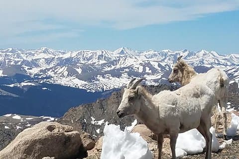 ブルースカイ山 14,265 フィートの山頂と氷河湖