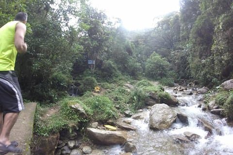 プライベートツアー:La Miel Magnificent Natural Reserve Hike