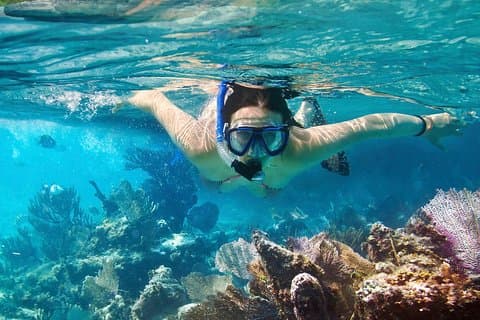 Cozumel snorkletur ved Palancar & Colombia Reef og El Cielo