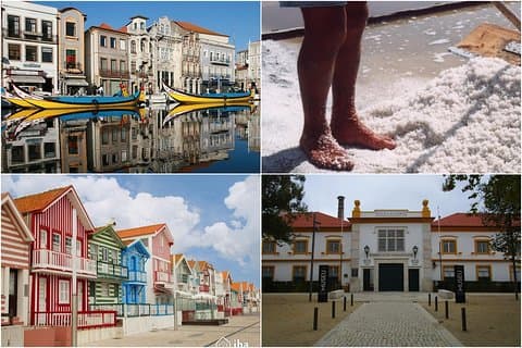 Aveiro Tour Små grupp, Moliceiro kryssning, Costa Nova, Vista Alegre & Lunch