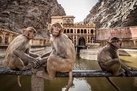 Jaipur Tour Mit dem Auto & Guide - Private Ganztagesbesichtigung mit Tickets