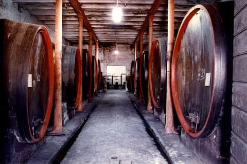 Montefalco: visita histórica a bodegas y viñedos con cata de vinos