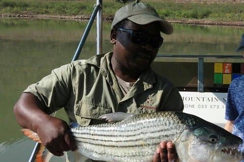 Jozini Tiger Fishing - Half day