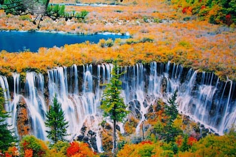 Privat 5-dages forbløffende turné: Chengdu og Jiuzhaigou-tur-kombipakke