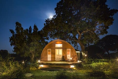 3 - Dagers jungelsafariopplevelse i Yala nasjonalpark