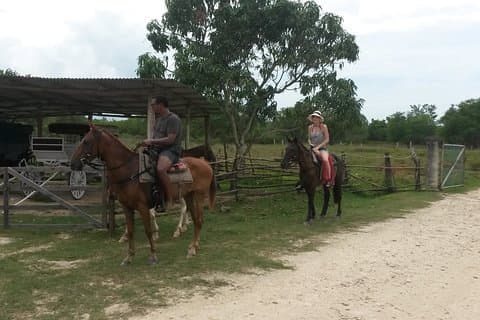 Ridning och Mayfield Falls combo från Negril