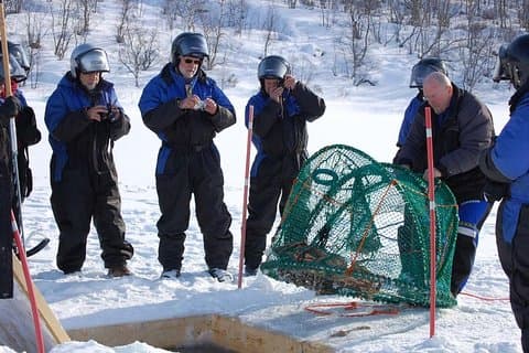 Full-Day Trip: King Crab Safari to Norway from Saariselkä Including Lunch