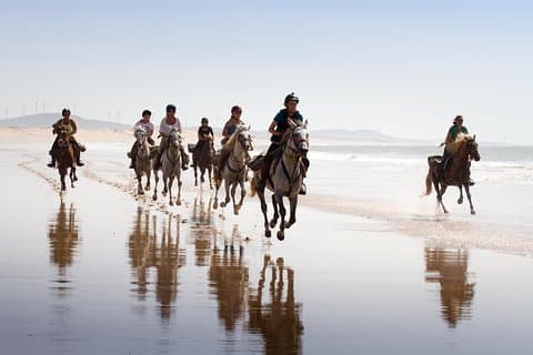 Horse Ride on the Beach in Essaouira