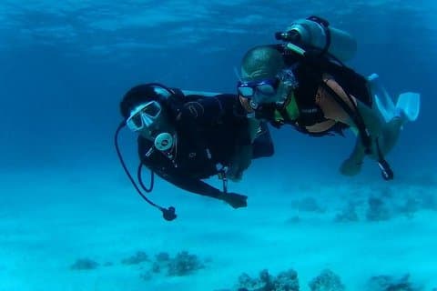 ハルガダからの日帰りスキューバダイビング旅行