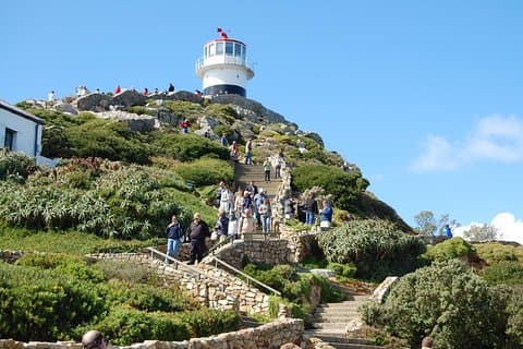 Visite touristique d'une demi-journée à Cape Point avec des pingouins au départ du Cap