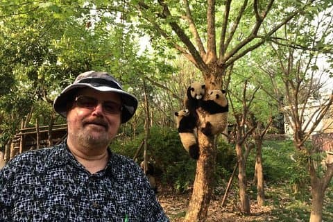 Chengdu Panda Base Halve dagtour
