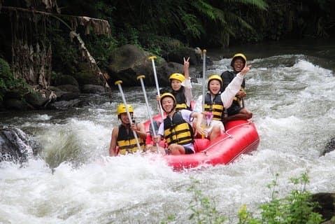 Ubud White Water Rafting og Ubud Tours Alt inklusive