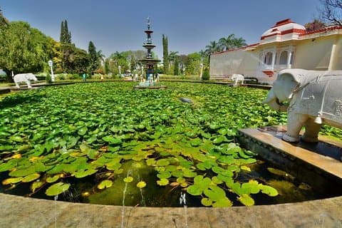 Visita a Sahelion Ki Bari, Garden of the Maidens, Udaipur con pranzo