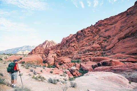 Red Rock Canyon Wandeling met vervoer vanuit Las Vegas