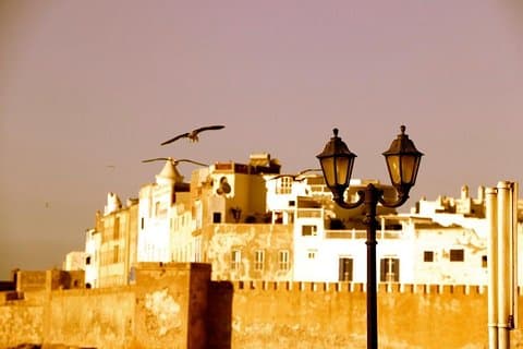 From Agadir: Private Guided Day Trip to Essaouira
