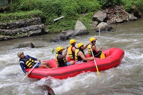 Halbtägiges Wildwasser-Rafting mit Ubud-Hoteltransfers